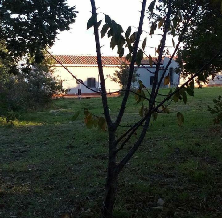 Villa Satellite dell'Etna SantʼAlfio Esterno foto